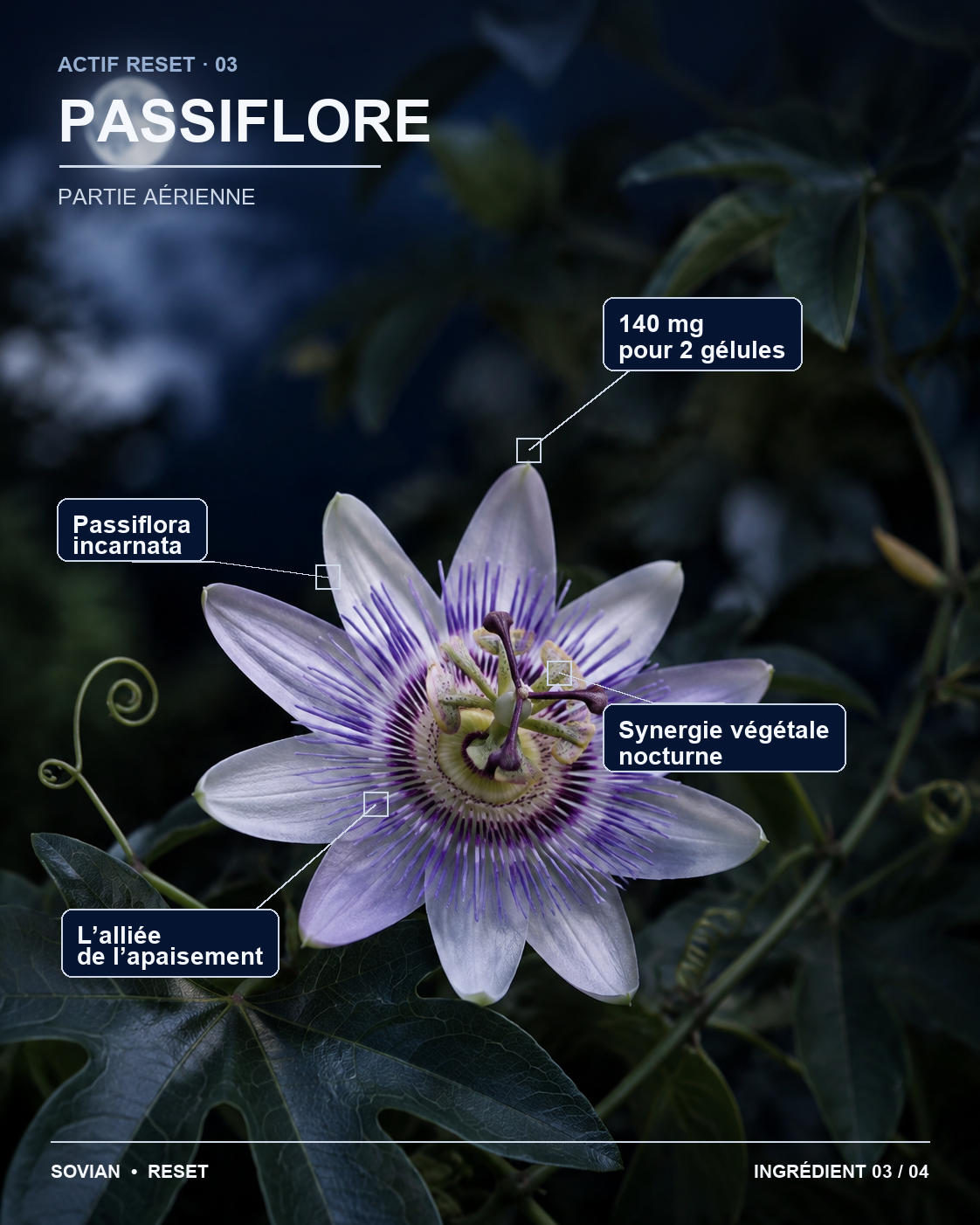 Fleur de passiflore utilisée dans la formule RESET