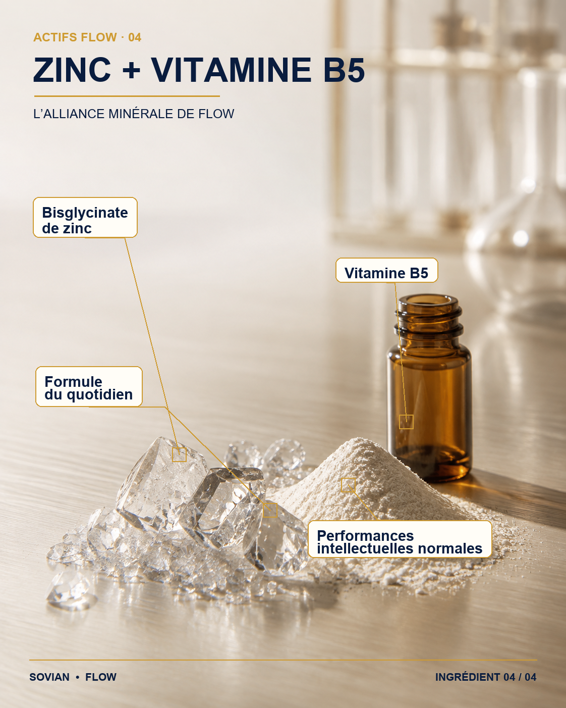 Zinc et vitamine B5 présents dans la formule FLOW