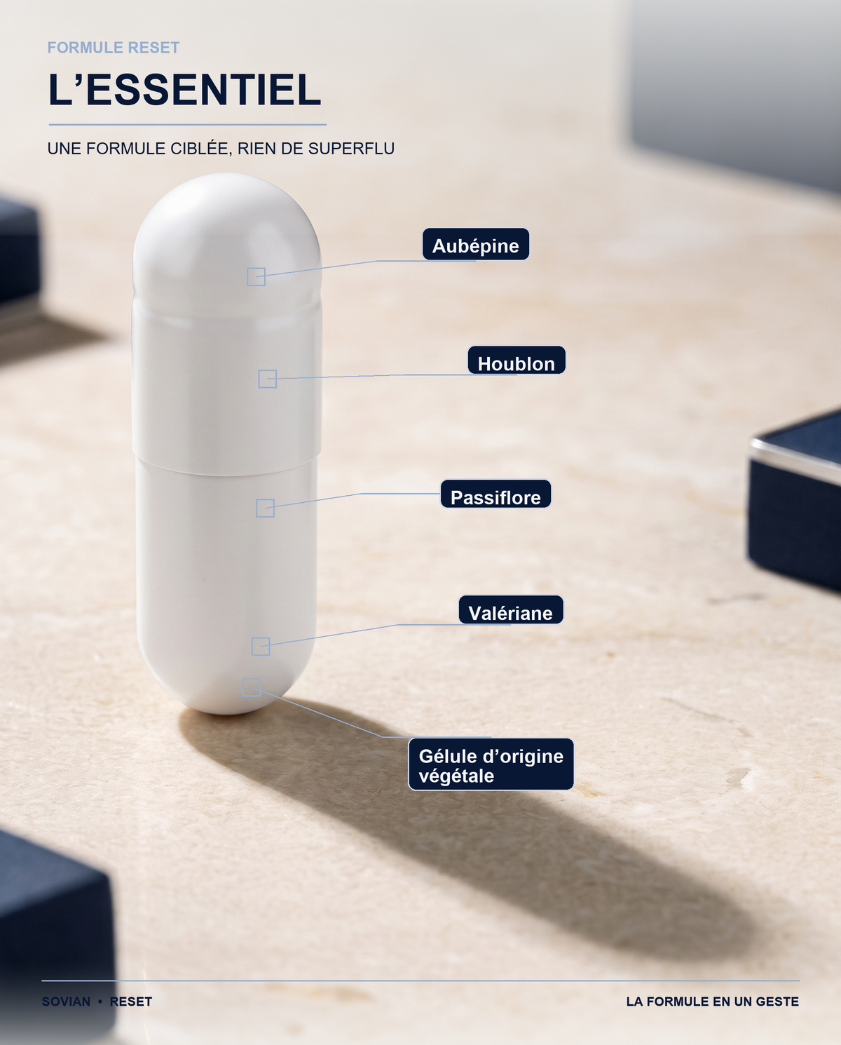 Gélule végétale RESET et quatre plantes de la formule