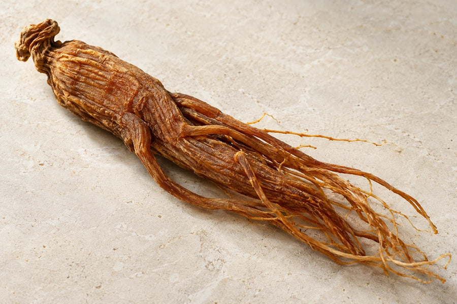 Illustration de l’ingrédient ginseng rouge sur pierre ivoire